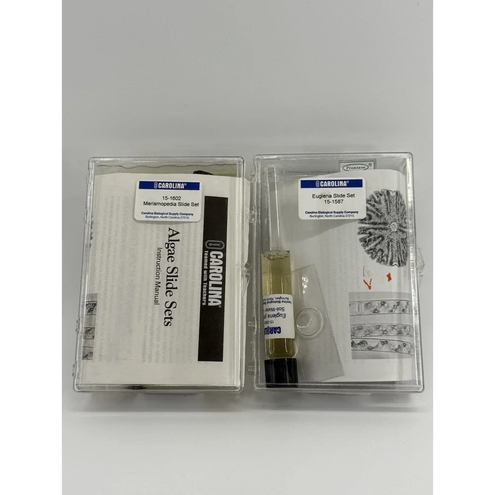 Carolina Euglena & Merismopedia Algae Microscope Slide Set w/ Observation‎ Gel
